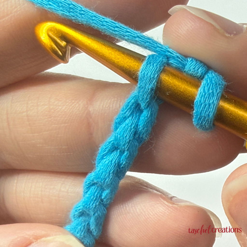 This image shows a crochet hook inserted into the back bumps 