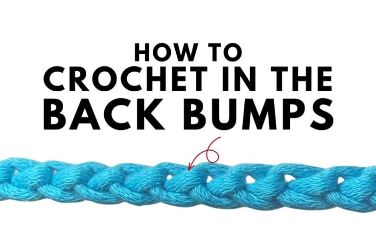 How to Crochet in Back Bumps of a Chain